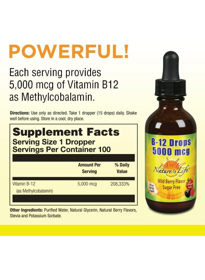 B12 قطرات ميثيلكوبالامين، 4 أونصة 2 أونصة سائلة، عبوة من 1 - Image 2