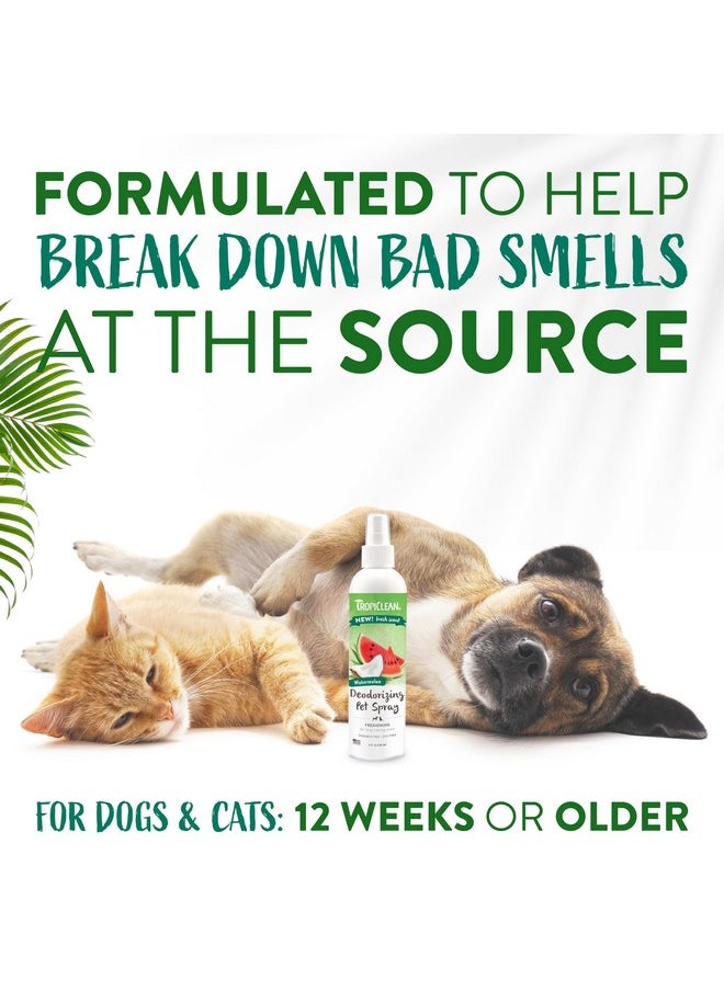 TropiClean - TropiClean Watermelon Cat & Dog Deodorizing Spray | Cat & Dog Grooming Supplies | 8 oz | Made in the USA - Image 1