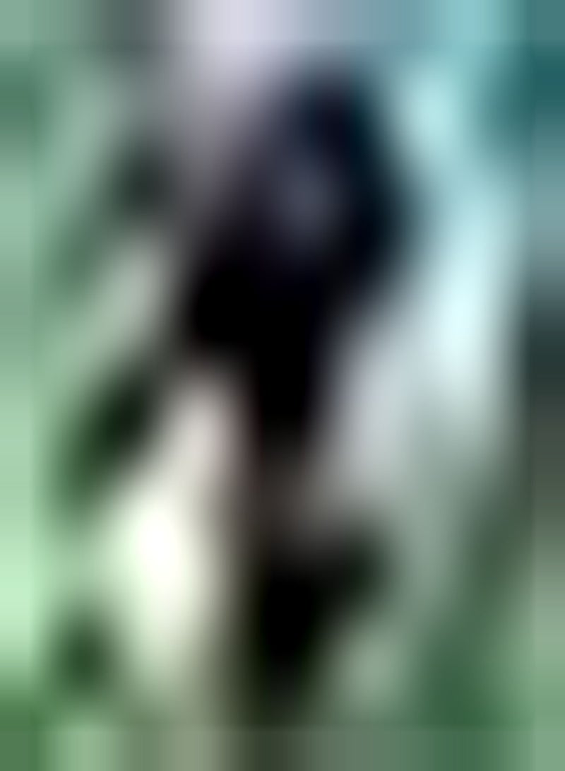 GGOOT 3pcs Purple Calla Lily Seeds Yard Garden Exotic Decorative Flowers Don't Need Much Care DIY Garden Art Decor Small Difficulty Calla Seeds - Image 2