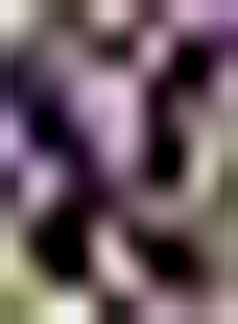 GGOOT 3pcs Purple Calla Lily Seeds Yard Garden Exotic Decorative Flowers Don't Need Much Care DIY Garden Art Decor Small Difficulty Calla Seeds - Image 1