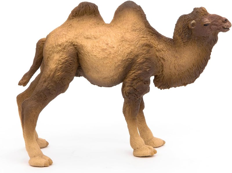 Papo تمثال جمل باكترياني من بابو مطلي يدويًا واقعي 3 سنوات لعبة تعليمية من الحيوانات البرية الحياة البرية ذات السنامين تفاصيل دقيقة 118 سم فكرة هدية تمثال حيوان صحراوي - Image 5