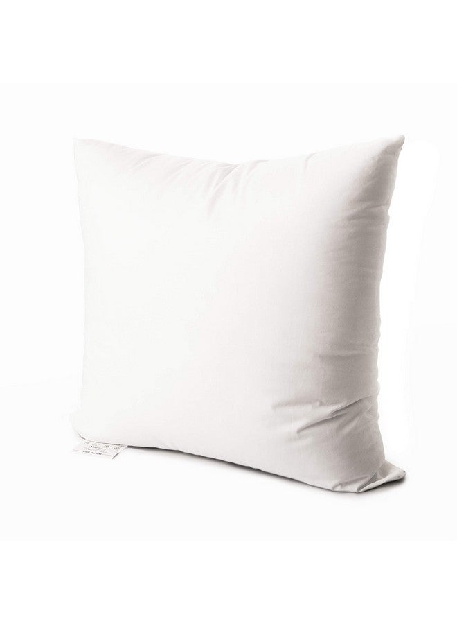 EDOW Luxury Throw Pillow Insert, Soft Fluffy Down Alternative Polyester Square Form Decorative Pillow Insert,Sham Stuffer,Cotton Cover for Sofa, Couch,Bed and Car. (White, 22x22)