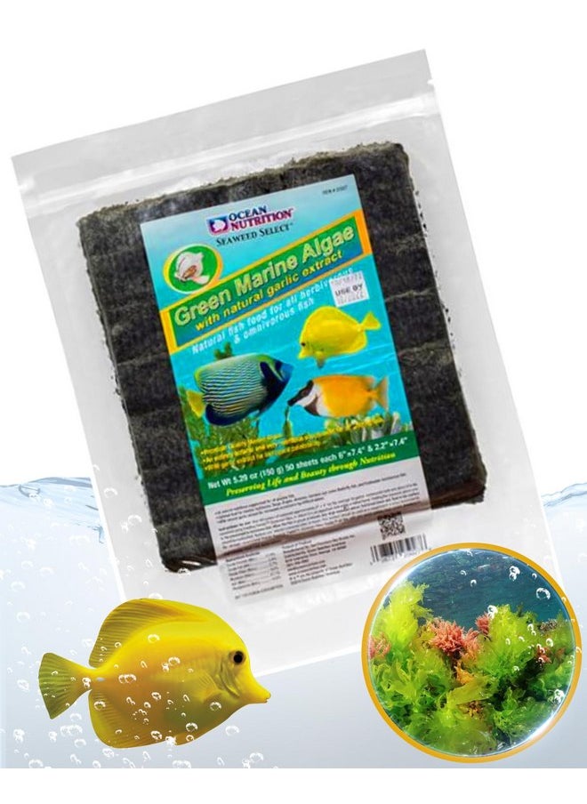 أويشن نيوتريشن - Ocean Nutrition Seaweed Select Green Marine Algae - طعام سمكي مغذي للأسماك البحرية العاشبة والأسماك الحية واللافقاريات - أوراق أعشاب بحرية طبيعية مع مستخلص الثوم - 50 ورقة، 5.29 أونصة (150 جرام) - Image 1