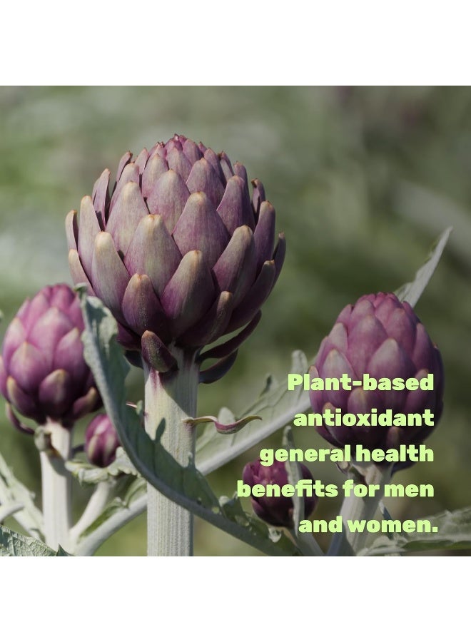 DEAL SUPPLEMENT Apigenin, 100mg Per Serving, 240 Capsules â€“ Raw Plant Extract from Chamomile Flower â€“ Active Bioflavonoids & Antioxidants â€“ Sleep & Relaxation Supplement â€“ Non-GMO - Image 4