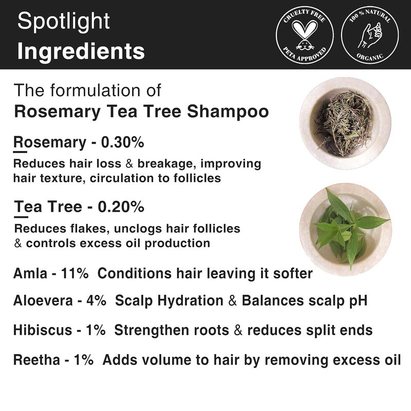 Soulflower Rosemary Shampoo For Hair Growth Anti Hair Fall Stronger Shiny Long Hair Healthy Scalp WIth Tea Tree Pro Vitamin B5 Men Women 200 ml Pack of 2 - Image 3