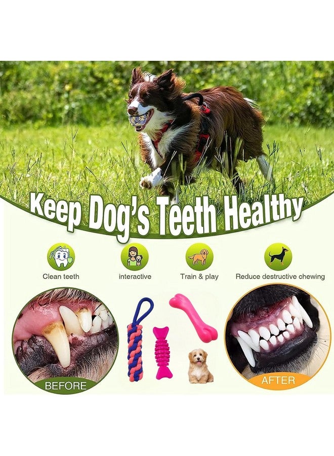 Emily Pets Puppies Teething Chew Toys For Boredom, Pet Dog Chew Toys With Rope Toys, Dog Squeaky Toy For Puppy And Small Dogs (Pack Of 3, Color May Vary) - Image 4