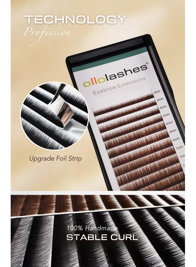 اولولاشز وصلات حواجب I Curl 0.15 مم مزيج 4-8 مم 4 مم 5 مم 6 مم 7 مم 8 مم لون أسود (أسود مزيج 4-8 مم 0.15 I Curl) - Image 4