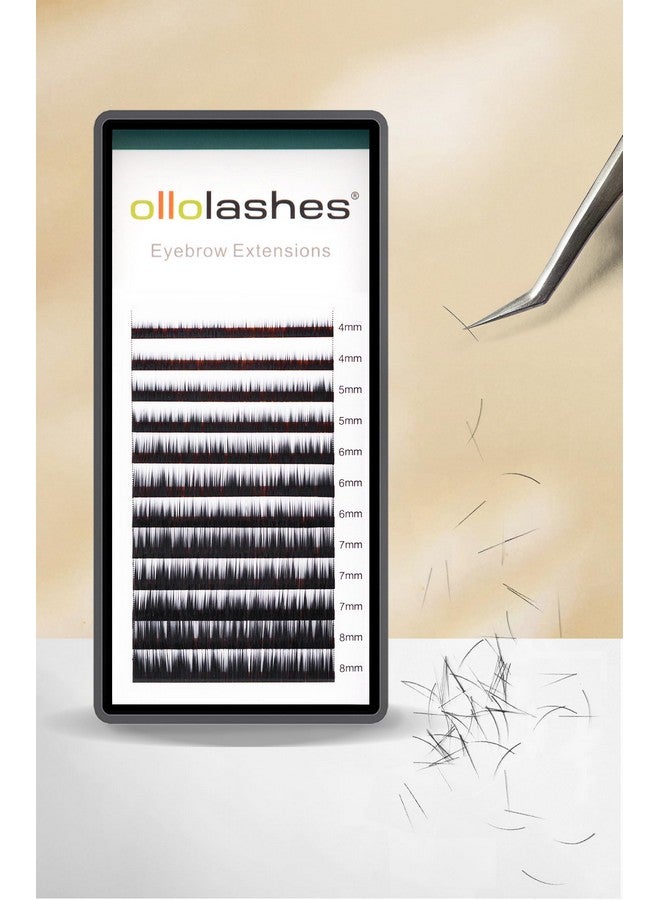 اولولاشز وصلات حواجب I Curl 0.15 مم مزيج 4-8 مم 4 مم 5 مم 6 مم 7 مم 8 مم لون أسود (أسود مزيج 4-8 مم 0.15 I Curl) - Image 1