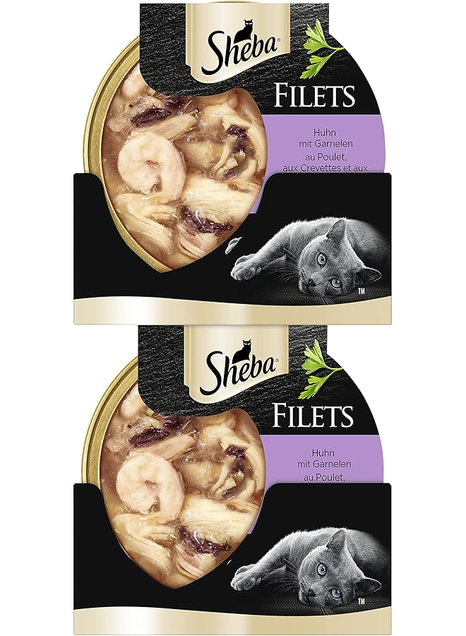 Sheba Cat Food Chicken With Shrimp And Tuna Filets From Natural Chicken Breast Wet Food Made For Reliable Consumption Enriched With The Necessary Nutritional Requirements Pack Of 16X60G