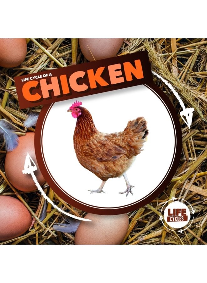 Life Cycle of a Chicken - Hardback