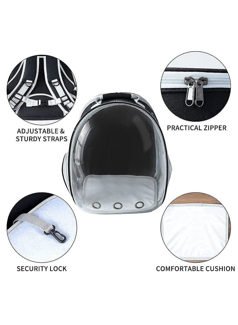 حقيبة ظهر قابلة للتوسيع للقطط ، حقيبة فقاعية للحيوانات الأليفة ، حقيبة ظهر للكلاب الصغيرة ، حقيبة ظهر مع نافذة صلبة شفافة (أسود) - Image 4