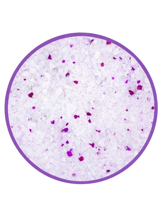 بادو رمل قطط كريستالي من بادو، ٢ كجم، مع وسادة داخلية - لافندر - Image 3