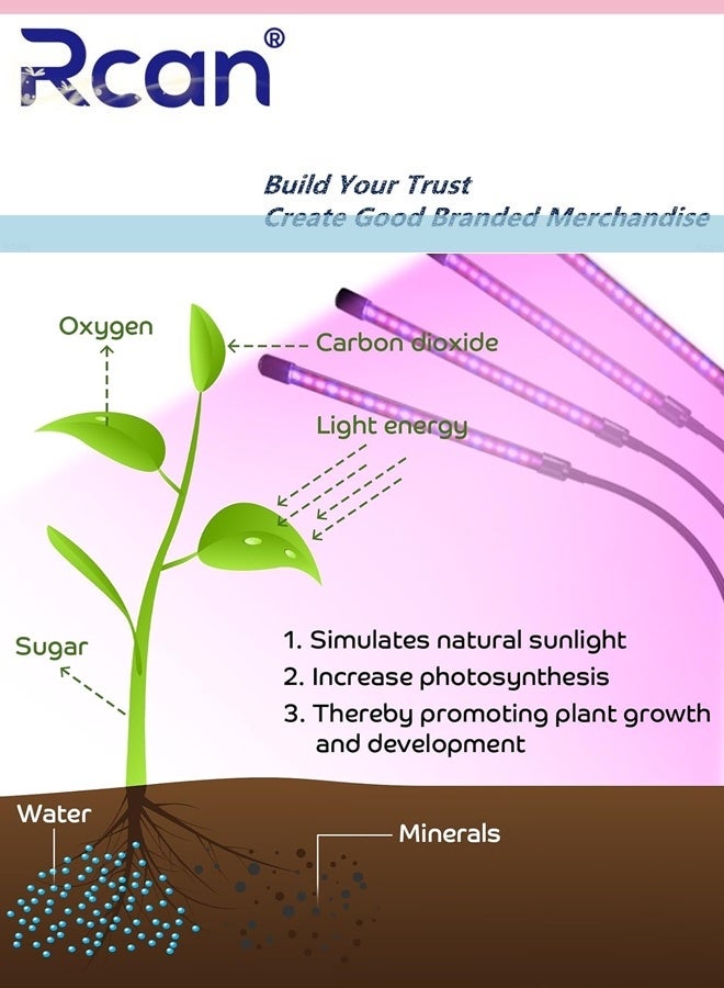 ركان مصابيح نمو 2 رؤوس للنباتات الداخلية، مصابيح نمو قابلة للتثبيت مع مؤقت، مصابيح نمو كاملة الطيف لبدء البذور، عنق إوزة قابل للتعديل مناسب لشتلات النباتات الداخلية ونمو النباتات المختلفة - Image 2