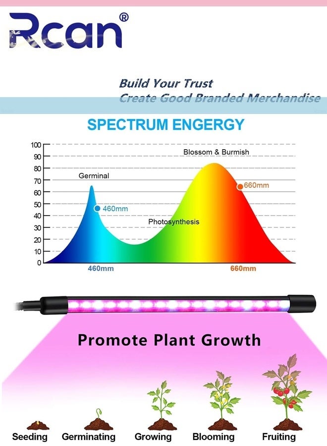 ركان مصابيح نمو 2 رؤوس للنباتات الداخلية، مصابيح نمو قابلة للتثبيت مع مؤقت، مصابيح نمو كاملة الطيف لبدء البذور، عنق إوزة قابل للتعديل مناسب لشتلات النباتات الداخلية ونمو النباتات المختلفة - Image 5