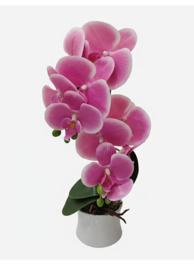 AKDC RoyalOrchid Decorative Artificial Orchid Plant – Pink Color – 46 cm with Ceramic Pot – Luxury Floral Display - Image 2