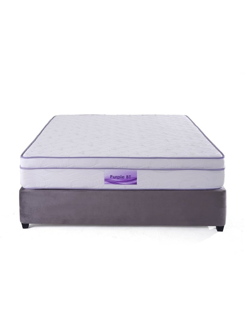 Pan Home مرتبة BT Pocket Spring باللون الأرجواني - 160X200  - Image 1