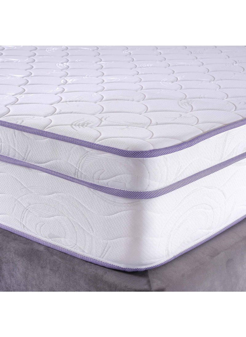 Pan Home مرتبة BT Pocket Spring باللون الأرجواني - 160X200  - Image 4