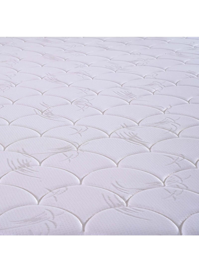 Pan Home مرتبة BT Pocket Spring باللون الأرجواني - 160X200  - Image 5