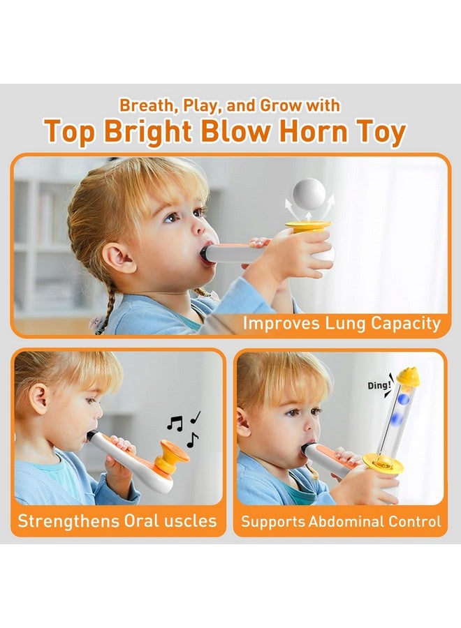 TOP BRIGHT 3in1 Sensory Toys for Toddlers Autism, Montessori Toddler Toys for 3 4 5 Year Old with Whistle, Ball Blowing, Floating Blow Pipe Balls Birthday Gift - Image 3