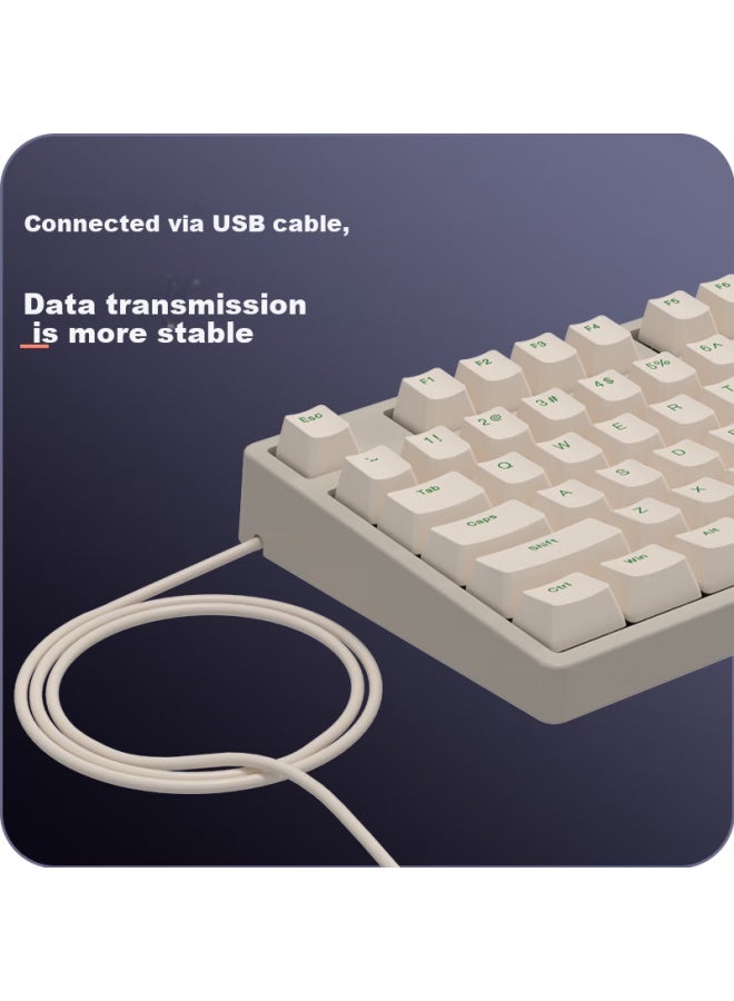 Ikbc C108 Mechanical Keyboard, Wired Mechanical Keyboard With 108 Keys, Gaming Keyboard For Office Typing, Good Feel Computer Keyboard, Cherry Keyboard, New Year Gift, Coffee Color Brown Switch Wired - Image 2