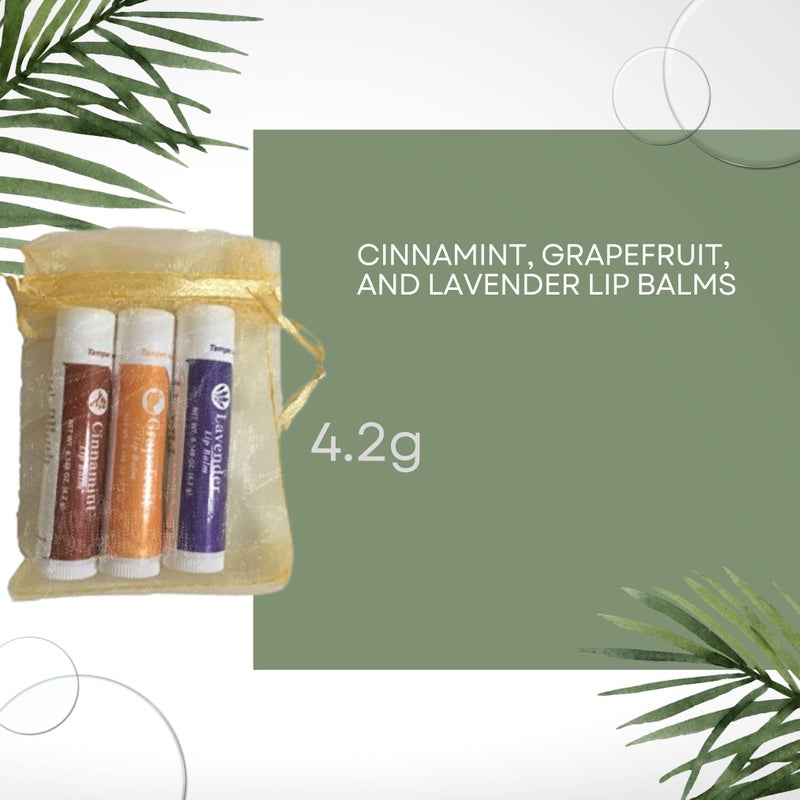 Young Living Lip Balm Trio (Lavender, Grapefruit, Cinnamon) by Young Living Essential Oils - Soothes Dry Lips, Hydrated and Softs, Instantly Moisturize Lips - Image 3