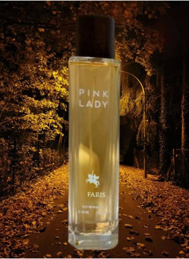 عطر بينك ليدي 100مل - pzsku/ZEED838AE4DBD27CB698DZ/45/_/1705860409/4a07777d-e3fd-4f52-88fd-84bea278aac8