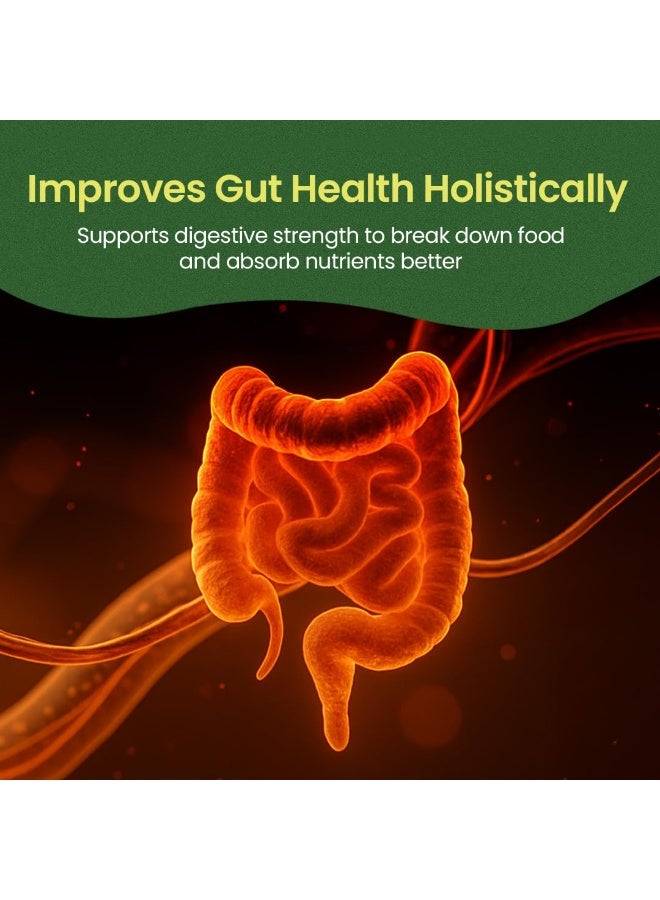 كيرلا ايورفيدا أقراص تريفالا تشورنا | صحة الأمعاء وتخفيف الإمساك بالطريقة الأيورفيدية | أملا، هاريتاكي، بيبيتاكي للهضم والانتفاخ | 100 قرص - Image 5