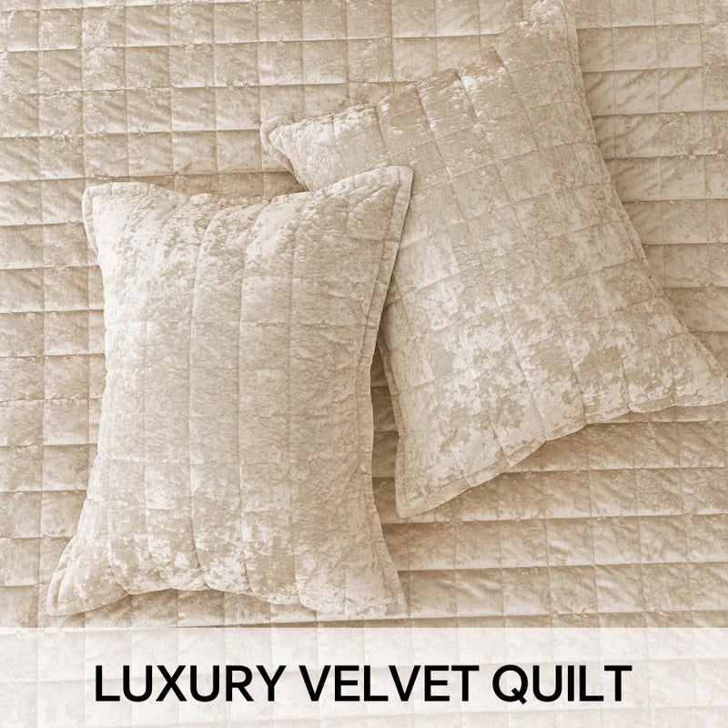 BEDELITE Velvet Quilt Set Queen Size - Luxury Velvet Comforter Bedding Set 3 Pieces, Lightweight Soft Cozy Shiny Urban Taupe Oversized Bedspread Coverlet for All Seasons with 2 Pillow Shams - Image 4