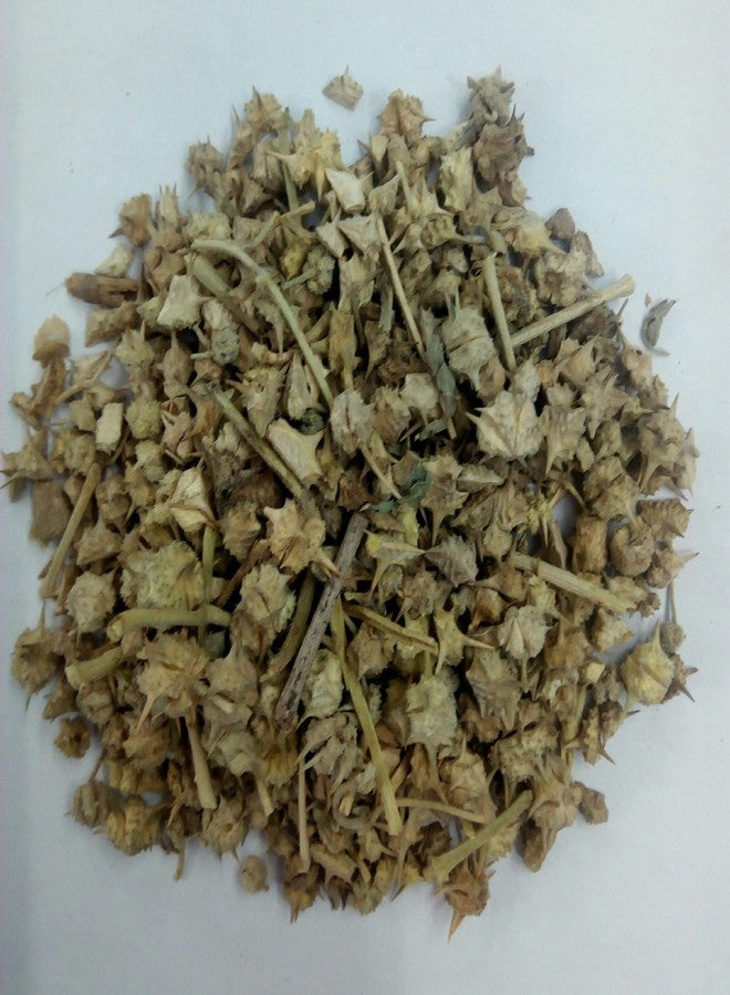 Healthy Herbs أعشاب صحية شوتا جوكرو 400 جرام - Image 2