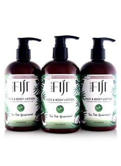 Coco Fiji Face  Body Lotion Infused With Coconut Oil  Lotion for Dry Skin  Moisturizer Face Cream  Massage Lotion for Women  Men  Tea Tree Spearmint 12 oz Pack of 3