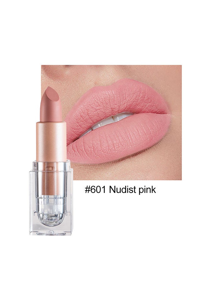 دي ان ام شفاه الشفاه العاري غير اللامع لملوفة الشفاه غير اللامعة غير المكررة كأس عارية شفاه شفاه غير ماتي وصمة شفاه طويلة الأمد للماء للنساء للبنات اليومية لمكياج الشفاه (الوردي العري) - Image 2