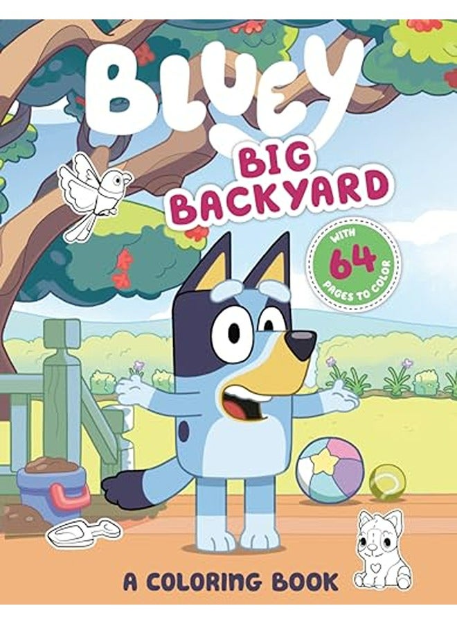 Big Backyard Coloring Bk