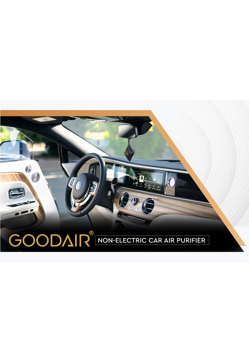 GOODAIR ROYAL Impregnated Activated Carbon Indoor Car Air Purifier  - Image 2
