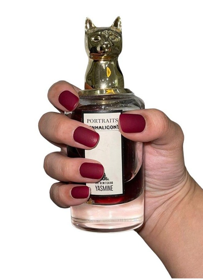 KNOOZ ALKHOZAMA - False nails tips without glue - Image 1