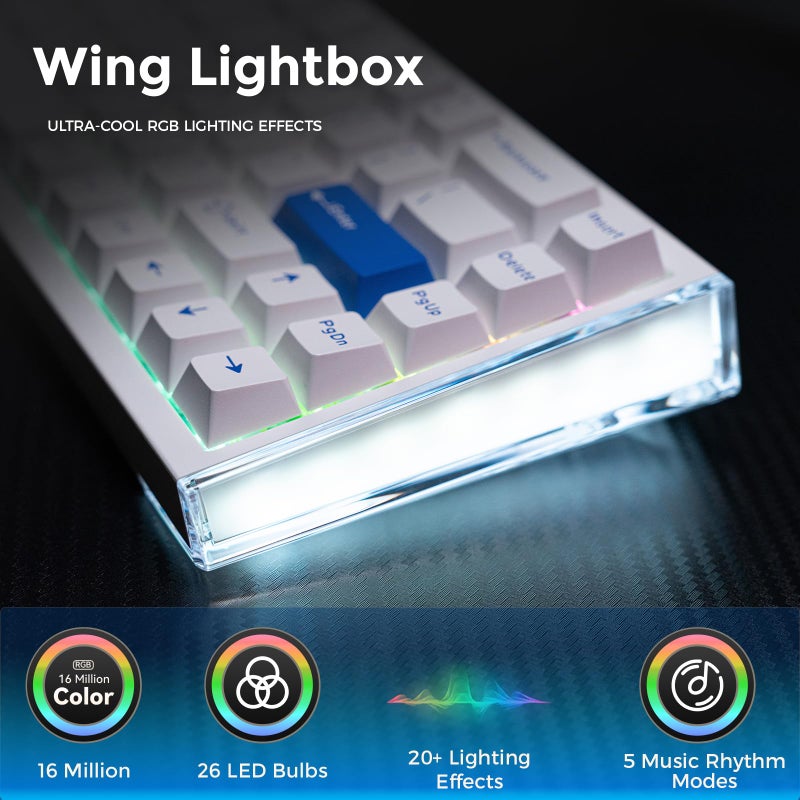 DAREU COOL68 60% Wired Gaming Keyboard, Rapid Trigger Magnetic Switch Keyboard with 8000Hz Polling Rate, Adjustable Actuation, 0.1ms Latency, SOCD, Gasket Mount, Hot swappable, RGB Light - Image 5