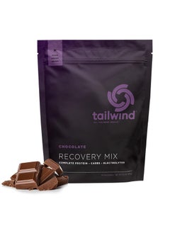 Tailwind Nutrition Recovery Mix, Complete Protein, Carbohydrates, and Electrolytes Powder Drink Mix for Post-Workout, Free of Gluten, Soy, and Dairy, Vegan, 15 Servings, Chocolate - pzsku/ZEEE3C590E6D77DD0FA97Z/45/_/1739882826/a46f0729-c65e-4d8e-aa8e-4187922d3d9b