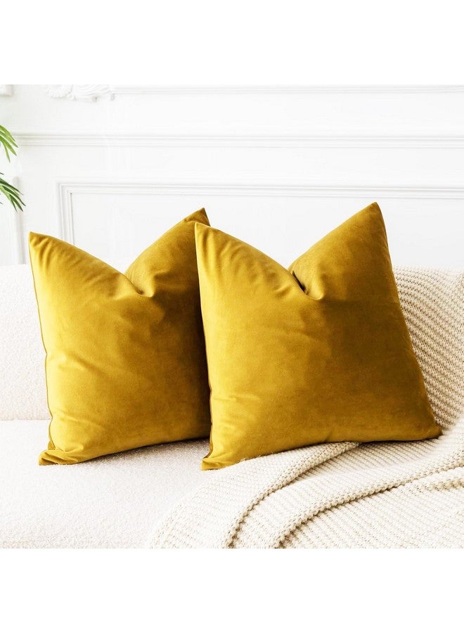 IVAZA IVAZA Velvet Decorative Cushion Cover 12x12 Inch - Set of 5, Soft Solid Square Throw Pillow Covers for Sofa, Living Room or Home Decor - 30x30 cm Mustard Yellow - Image 3