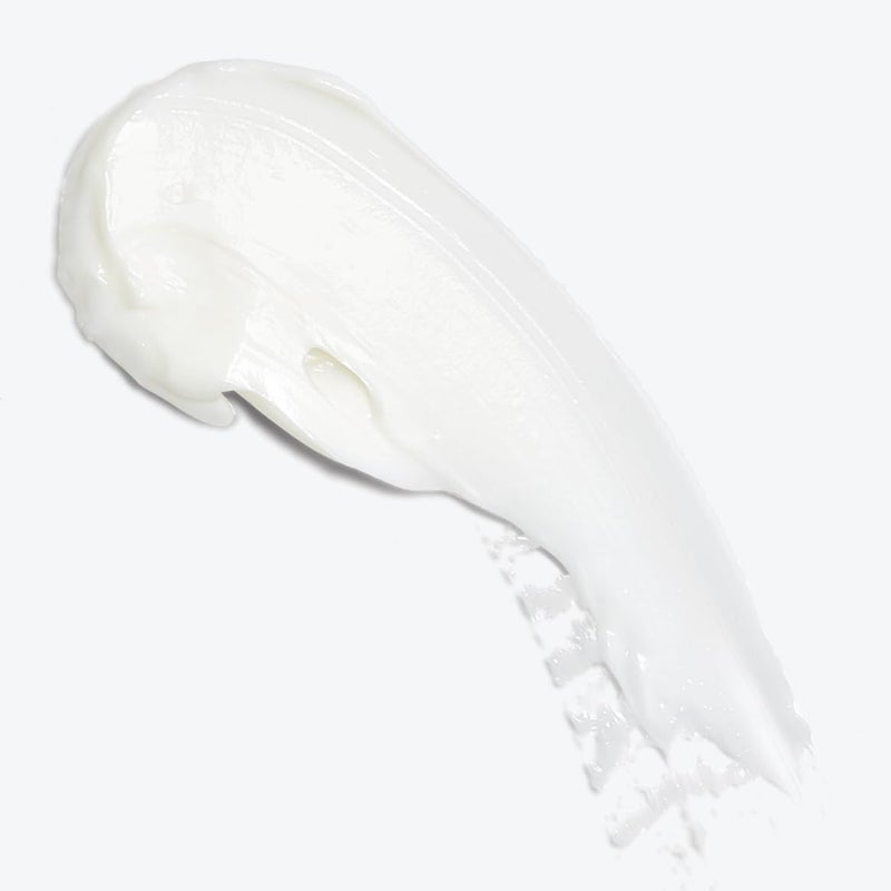 ion Moisture Conditioner, Moisturizing Treatment, Vegan, Paraben Free, Hydrating, Reduces Breakage - Image 4