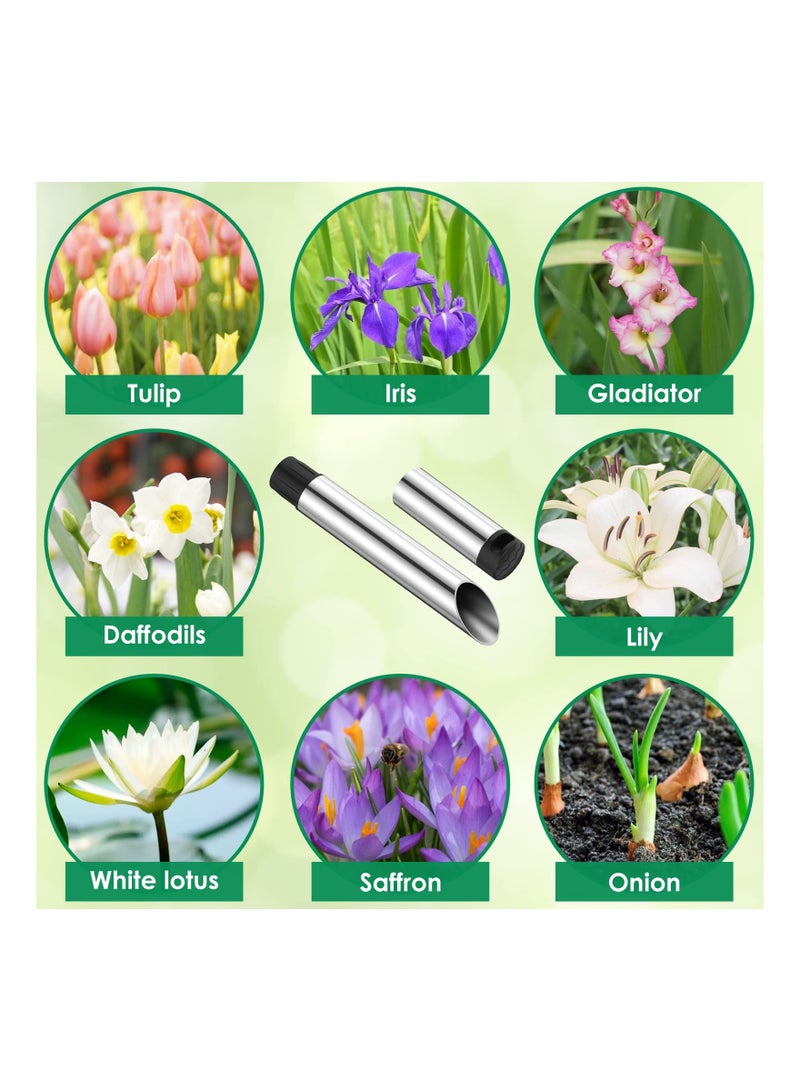 Zikra Seed Planter Tool, Garden Bulb Transplanter Tool, Metal Seedling Transplanter Tool, Manual Hole Digger, Flowers Seedling Planting Tools for Garden Backyard Farm Orchard Tulip Daffodil Crocus(1 Pack) - Image 4