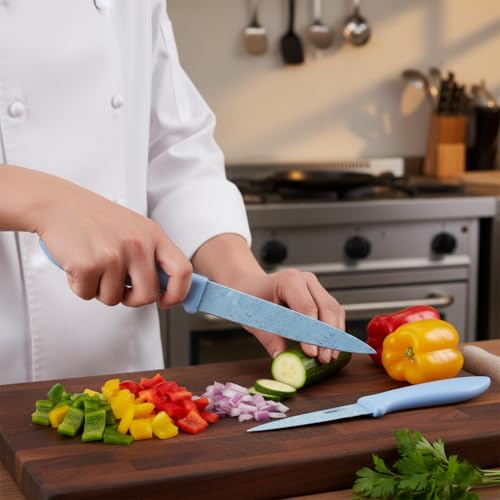 SKYTONE Kitchen Knife Set Stainless Steel 2 Pieces Professional Chef Knife with Santoku Paring Knife Vegetable Cutting & Chopping Sharp Blade, Ergonomic Handy Handle for Kitchen (Blue) - Image 3