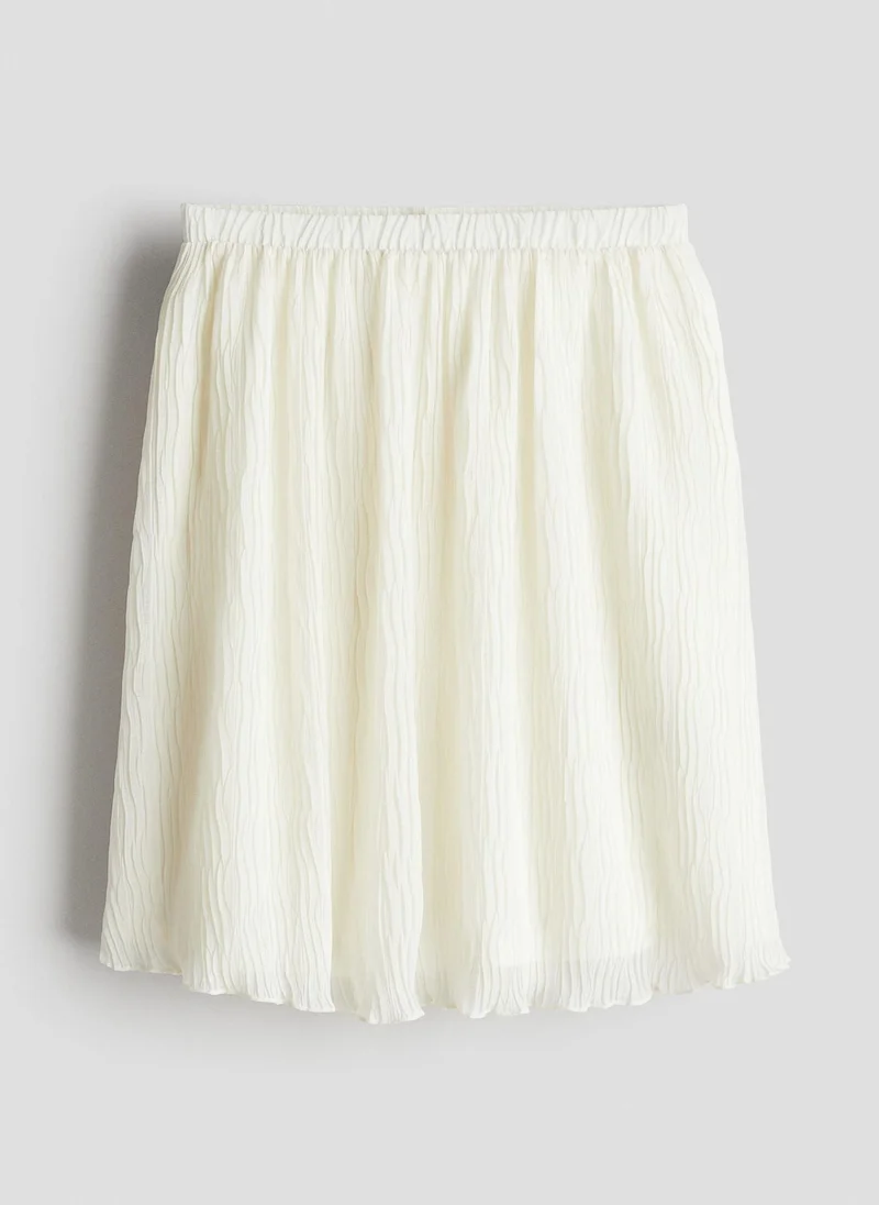 اتش اند ام Crinkled Skirt