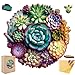 Mys Aurora Wooden Jigsaw Puzzles Mandala Succulent Plants 200 Piece Luxurious Shaped Wooden Puzzles for Adults and Kids Family Game Medium 113 x 109 - Image 2