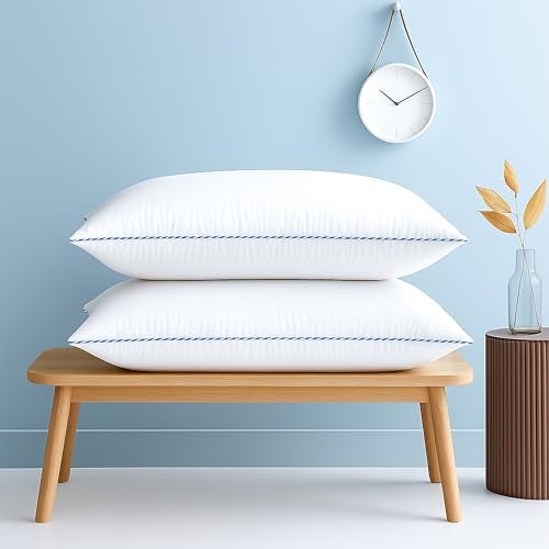 bien LIVING Softmax Pillow, Standard Size, 17x27 Inches, White, Pack of 2 - Image 1