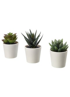Generic Artificial Potted Plant with Pot, In/Outdoor Succulent, Set of 3, Lifelike & Durable  - Image 1