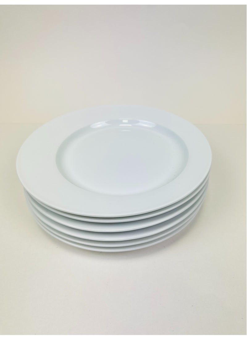 MtjrNet 6 Piece Ceramic Main Dish Set For Everyday Use Medium Weight Elegant White Plate  - Image 1