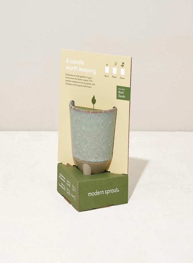 Modern Sprout مجموعة مودرن سبراوت جلو آند جرو - شمعة معطرة 2 في 1 تتحول إلى نبتة ريحان - شمعة صويا 12 أونصة مع وقت احتراق 78 ساعة في وعاء سيراميك مزجج - وعاء مثالي لتزيين المنزل بشكل جمالي - Image 5