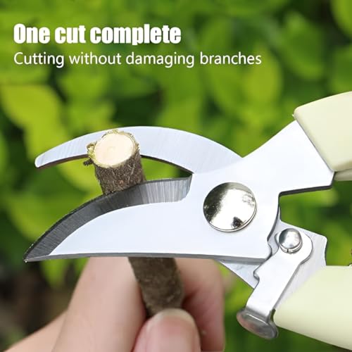 Oblivion Hand Pruner Cutter for Plants 1 Pc – Heavy-Duty Gardening Tool with Steel Blades for Plant Trimming, Wood Branch Cutting, Grass Pruning, Shrub & Hedge Maintenance Multipurpose Accessory - Image 2