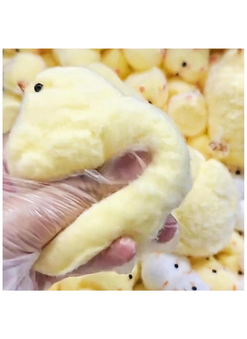 DELGREEN Handmade Ultra-Soft Chick Squeeze Toy - Squishy Rubber Chicken Stress Relief, Perfect for Desk Decoration & Relaxation, Ideal for Students, Office Workers, and Home Decor  - Image 4