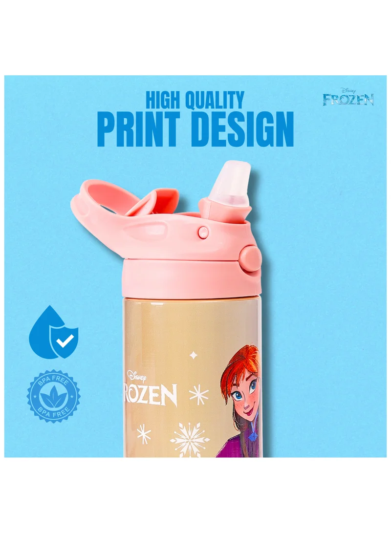 Disney Disney Frozen Friends Forever Stainless Steel Water Bottle