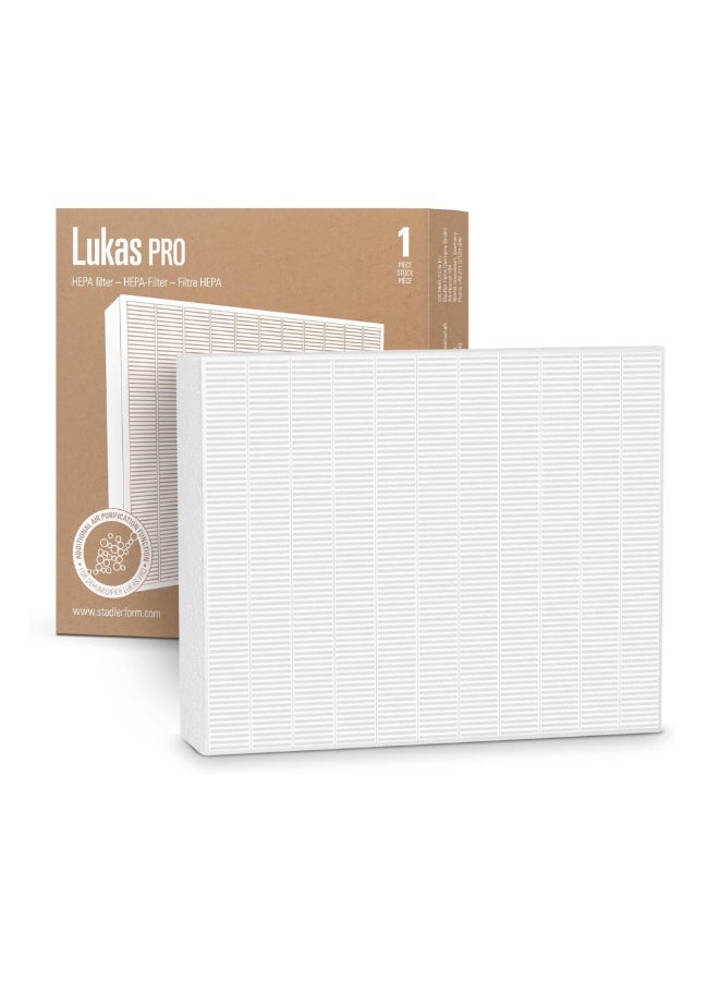 Stadler Form HEPA H11 Filter for Lukas Dehumidifier Swiss Design Enhances Air Purification, Filters Fine Dust & Pollutants, Easy Installation, Suitable for Rooms up to 131 m² - Image 1